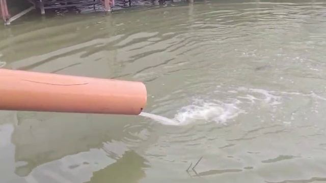 WhatsApp Video 2025-06-13 at 19.03.44