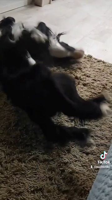 1000023407.mp4