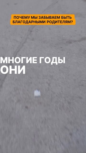 Почему мы забываем быть благодарными родителям.