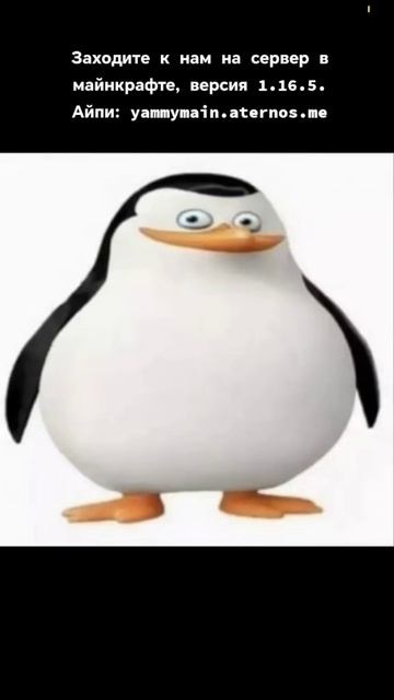 YammyMain