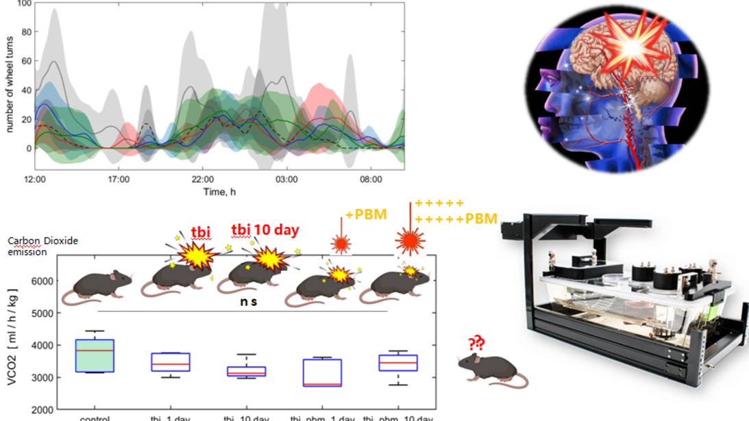 Detection of the first changes in the dynamics of metabolic characteristics