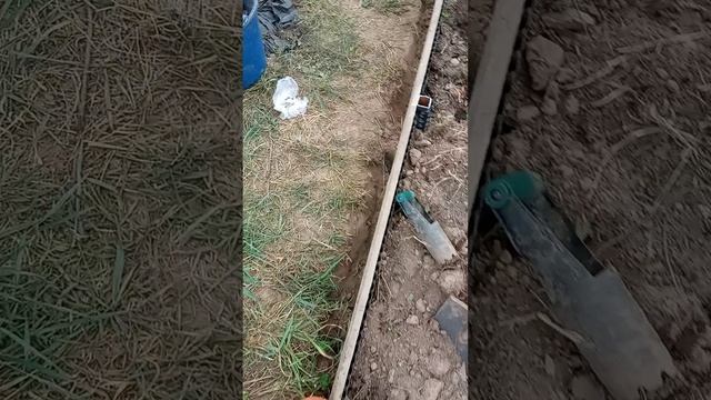 Факт о ужах