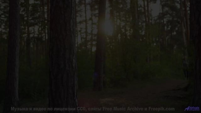 Шум волн + эта музыка = мгновенный релакс! - Defineless -- Ketsa -- Metaphysics