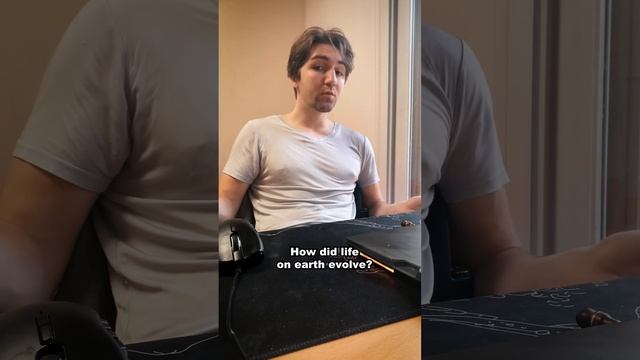Веганство убивает больше, чем спасает?