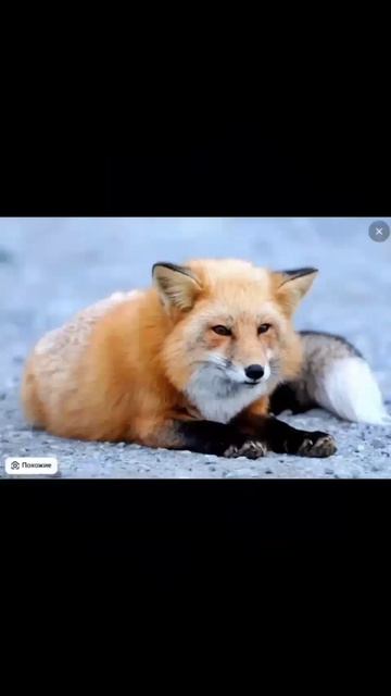 VID_20250614_110907_481.mp4
