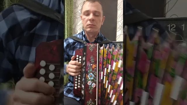 Прямой эфир номер 2. Разбор песни. Исполнение любимых  песен под гармонь. (22.02.2024г)