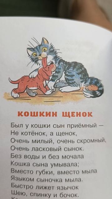 Кошкин щенок