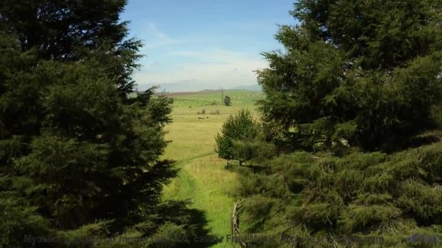 Звуковые волны, изменяющие сознание - попробуйте осторожно! - So My Love -- Anthem of Rain -- Freedo