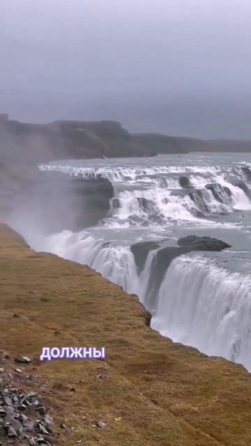 Совместное изучение Живой Этики