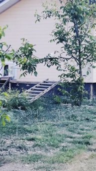 ночевка на дереве