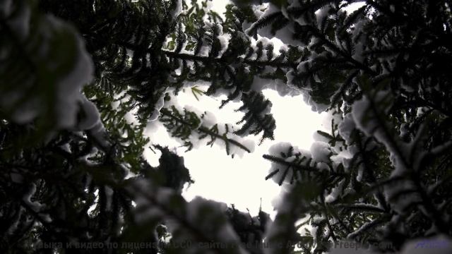 Эта мелодия - чистый адреналин в ваших ушах! - Horseshoes Across The -- Quint Baker -- Psychic Catz