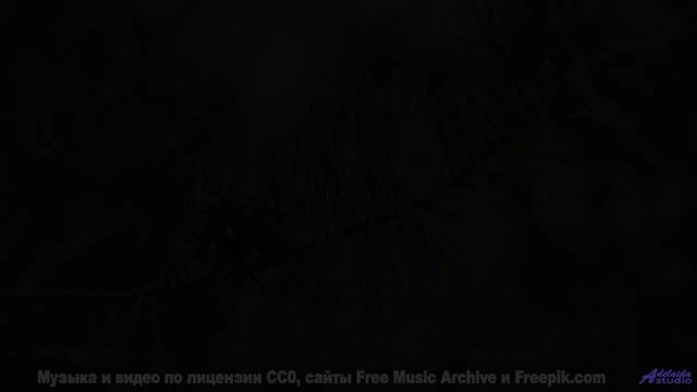 Трек, который изменит взгляд на природу - Call Of The Void -- HoliznaCC0 -- Music From The Vault