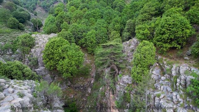 В голове остаётся только ритм и бескрайняя природа - A1-Zanne nel velluto -- Rien Virgule -- Le Cour