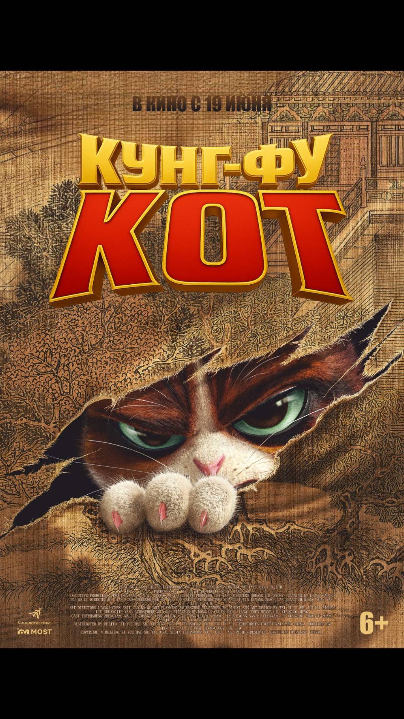 Кунг-фу кот