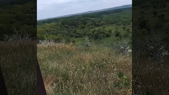 1000025912.mp4