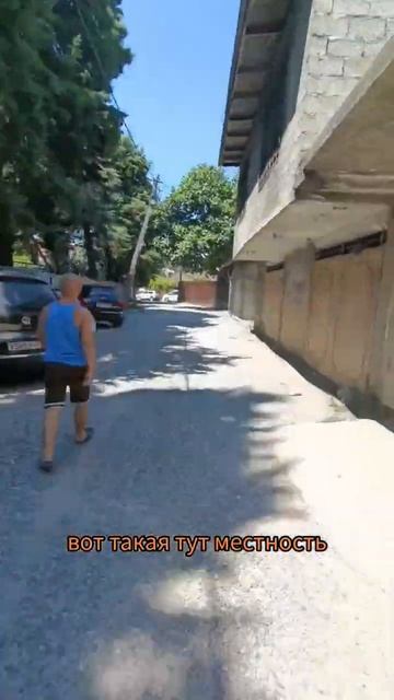 на рынок за арбузом и не только. рынок очень рядом #базарапельсин #рыноксочи #черноеморе #фрукты