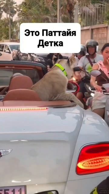 ЭТО ПАТТАЙЯ, ДЕТКА! ТАЙЛАНД.