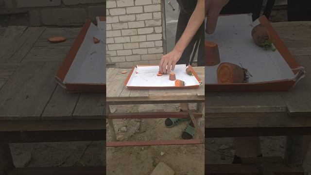 катана готова