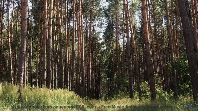 Музыка, которую слышат только избранные - вы среди них - Whigg Meadow -- Evan Schaeffer -- Afterthou