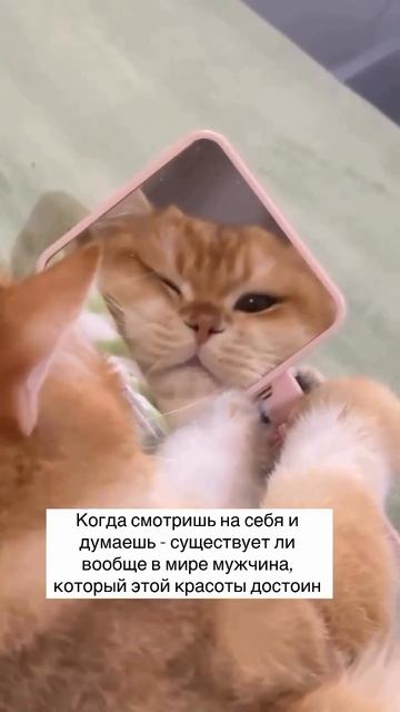 Красота не для всех