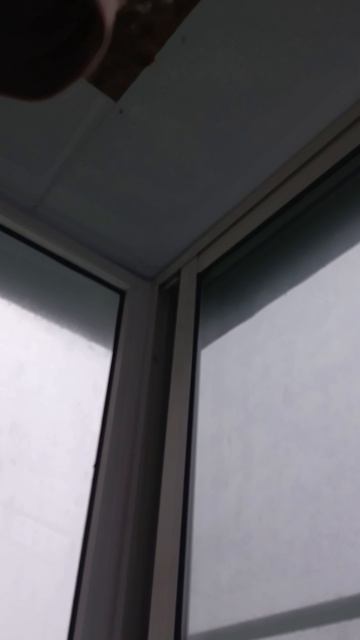 Этот дождь больше ливня!