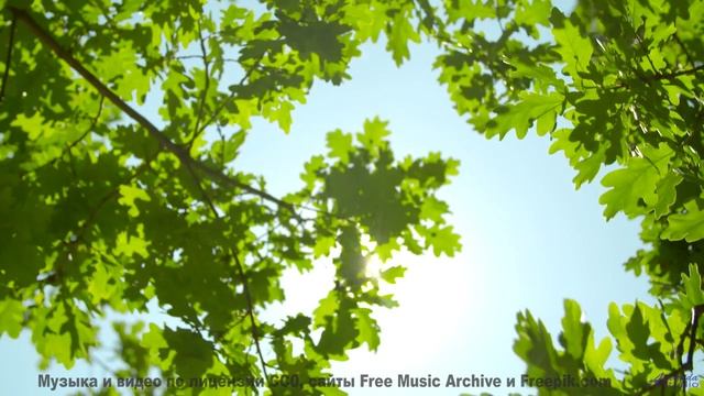 Ветер шумит под музыку так, как не слышали раньше - 01 The-Fayre -- Ketsa -- Free and Beautiful