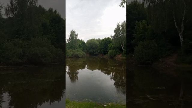13.06.2025 год. Один день в деревне Нижнее Велино в Подмосковье