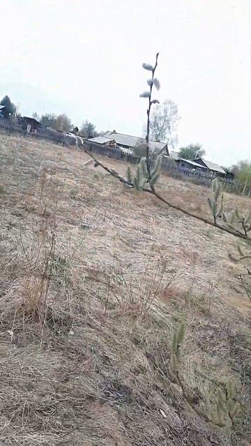 деревня