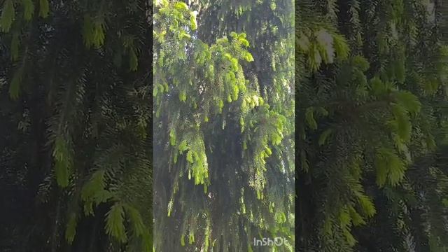 Шьём летом?