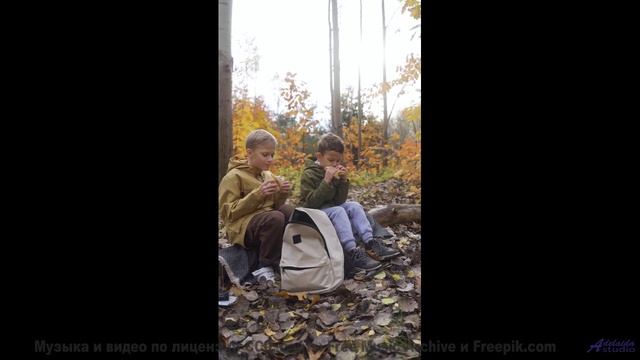Музыка растворяет границы между зрителем и Землёй - Sleeping is Sadness -- SUPERARE -- II
