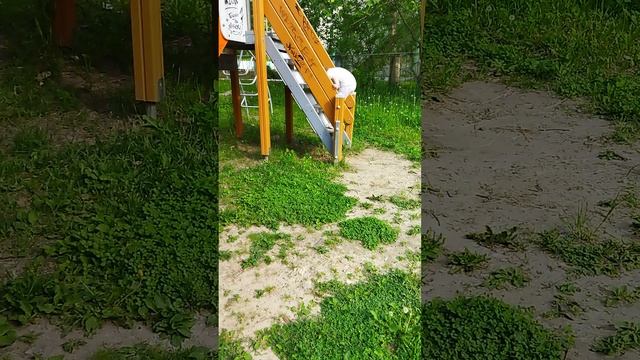 Разговоры