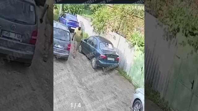 В Харькове завелись очень большие крысы, которые проникают на частную территорию !!!