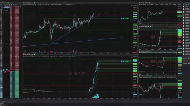 19-Bidusdt-Long-Stoploss-09-06-2025-14-11-24