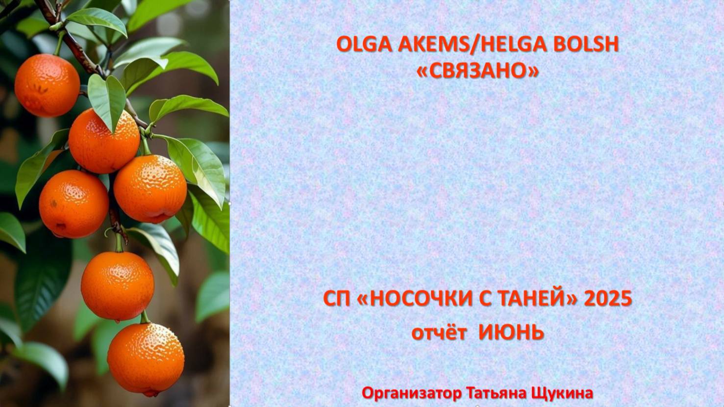 СП "Носочки с Таней 2025" июнь