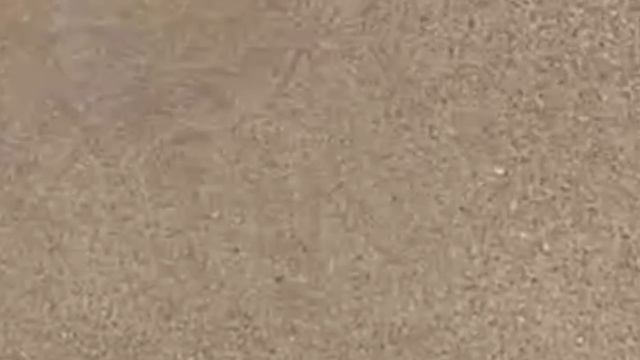 Я на работе! Пляж. 2 курицы сели на яйца.