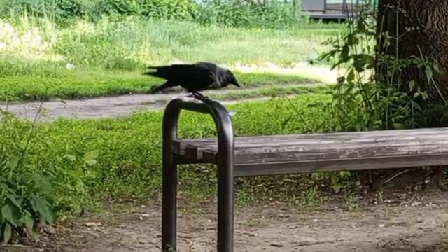 1000008440.mp4