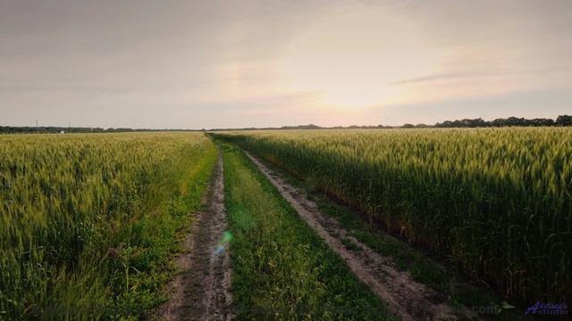 Если бы все клипы были такими, мир стал бы добрее! - FunkBox -- Ketsa -- Through to Fall