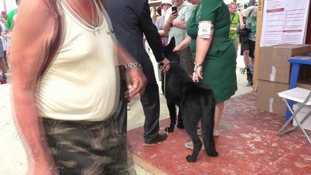 РЛ Ундина