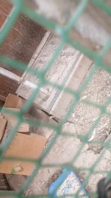 VID_20250614_171050.mp4
