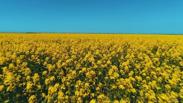 Когда пляж становится сценой, а волны - зрителями! - If You Waited -- Ketsa -- Growth