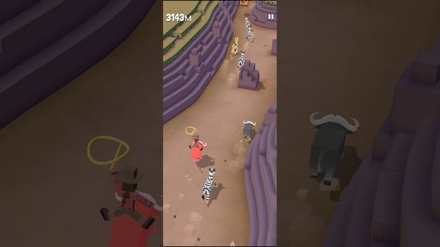 играю в родео