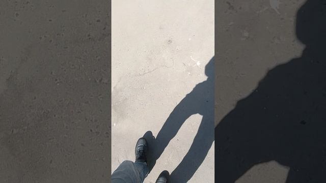 VID_20250420_111938