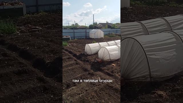 посадки полным ходом