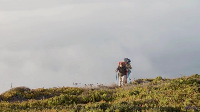 Видео, которое смотрят в параллельных вселенных - присоединяйтесь! - PassionsHobbies -- HoliznaPATRE