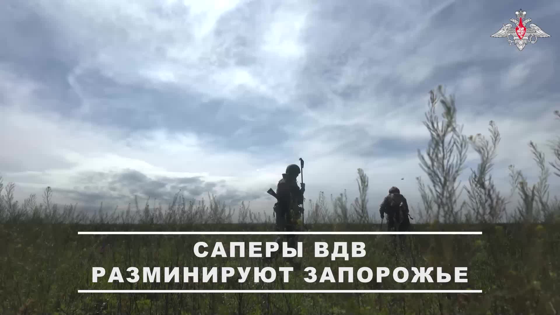 🧨 Саперы Новороссийского гвардейского горного соединения ВДВ ведут работы по разминированию терр...