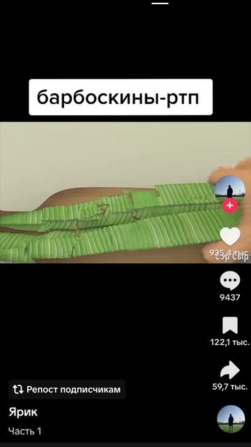 перезалив из тиктока Барбоскины