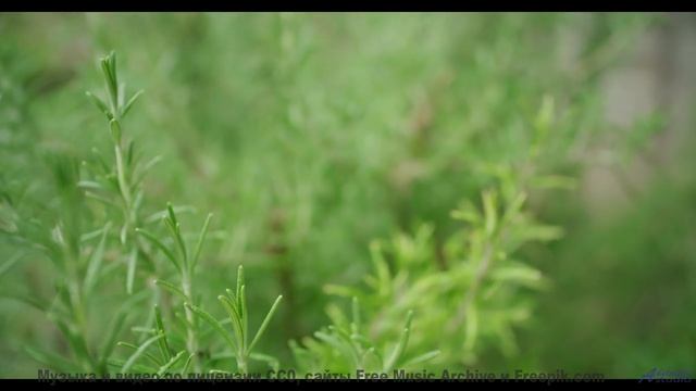 От этих видов под эту музыку мурашки - Slow Rising -- Ketsa -- Abundance