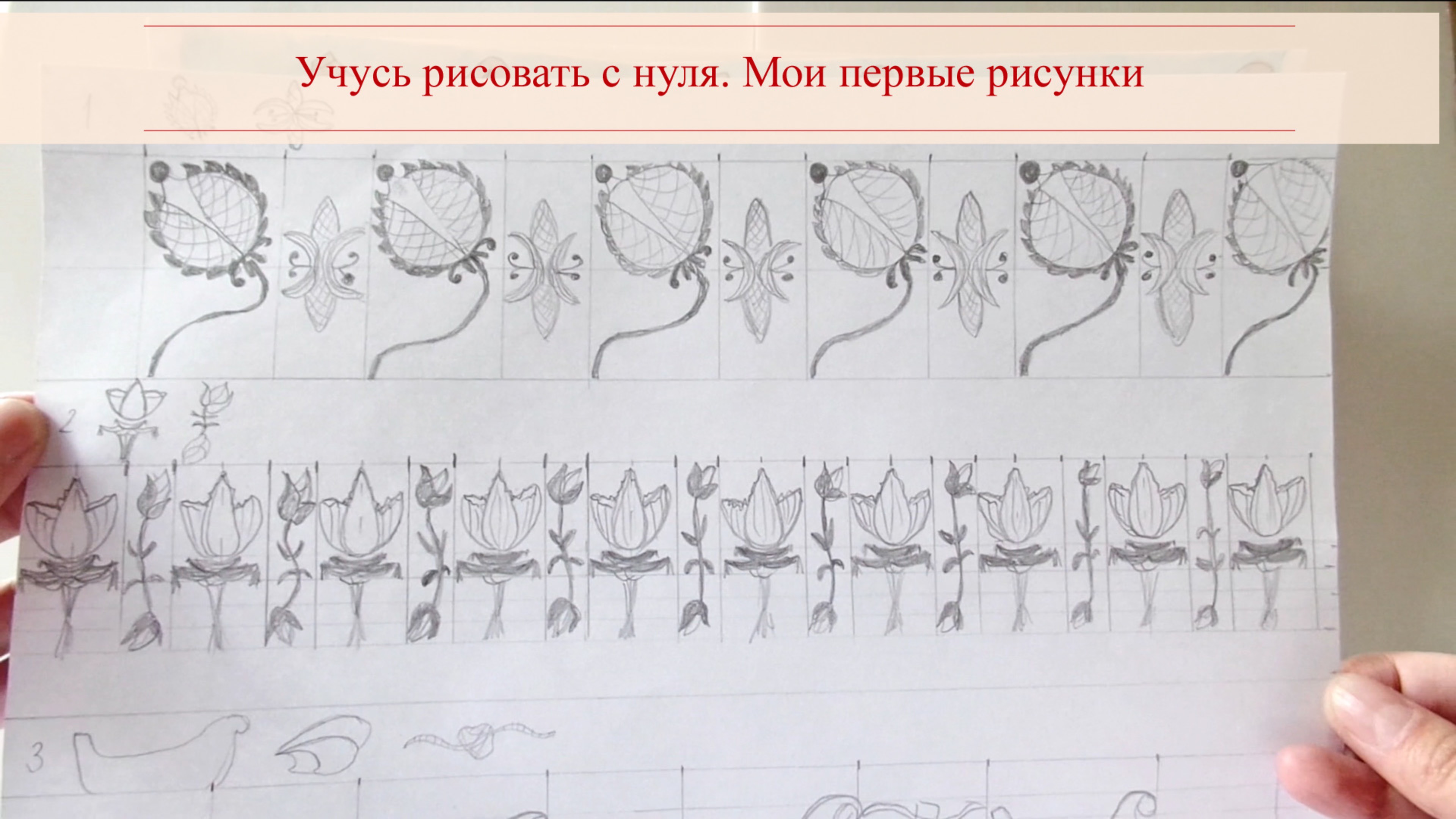Учусь рисовать с нуля. Мои первые рисунки