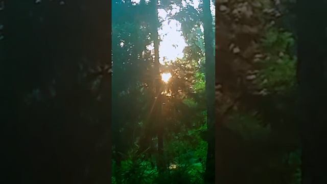 фотомоменты