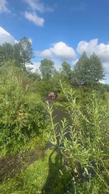 шевик